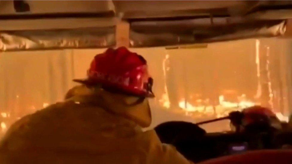 Driving through Australia's burning trees