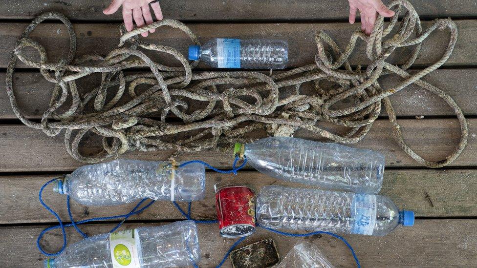 plastic bottles and rope found on the beach and in the sea near where April was found