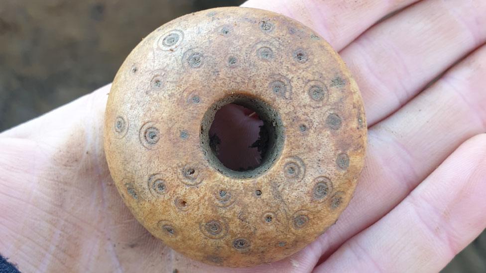 Saxon worked bone spindle whorl