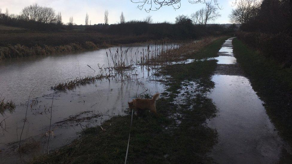 Flooded canal at Kinoulton