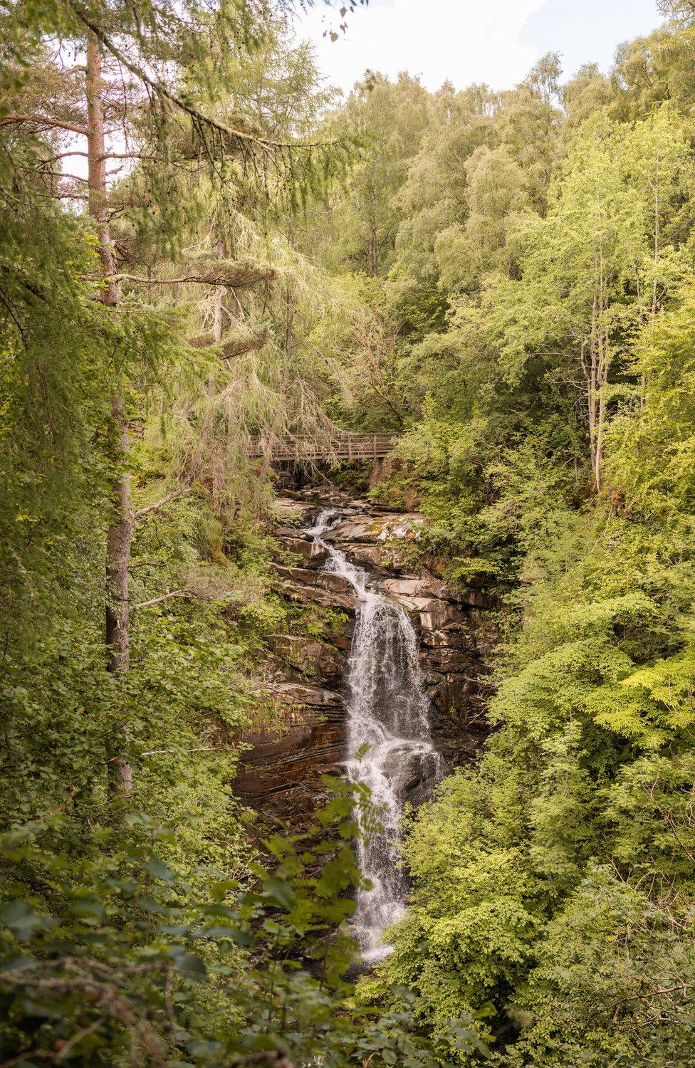 waterfall pouring over a rockface amongst tall trees