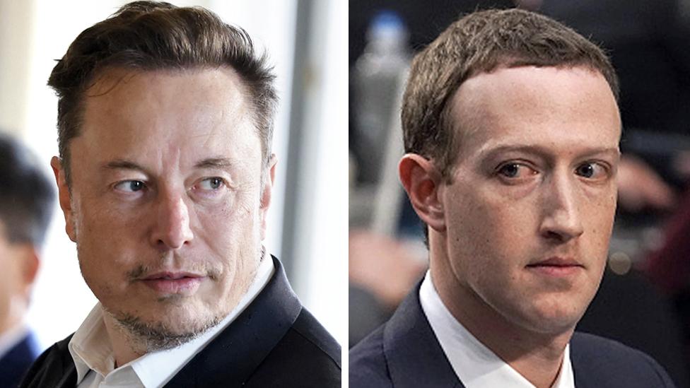 Elon Musk and Mark Zuckerberg.