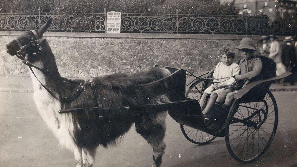Mrs Hodnett pictured with her brother Gilbert