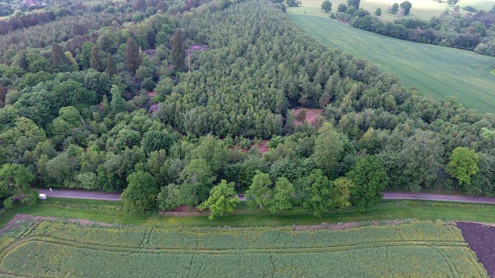 Drone picture of where remains were discovered