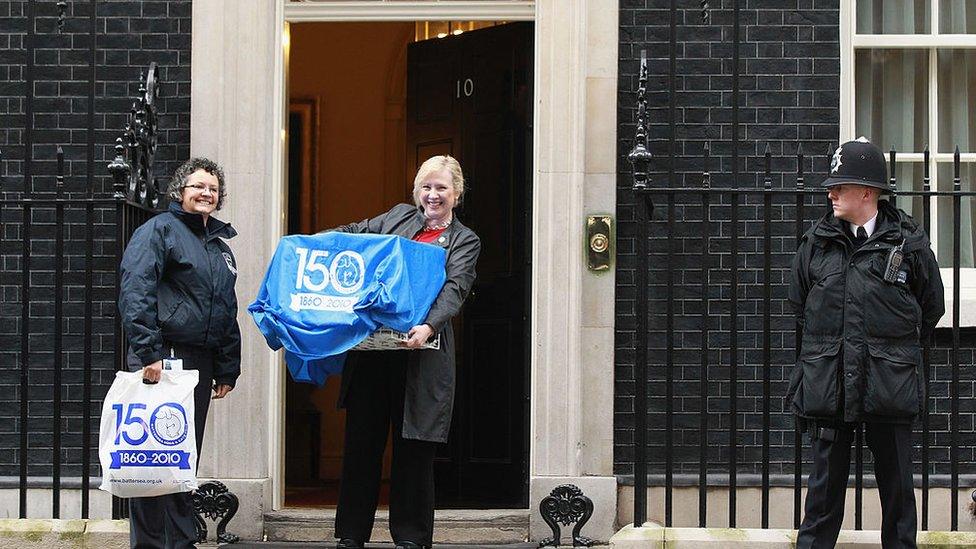 Larry the cat arriving in at downing street