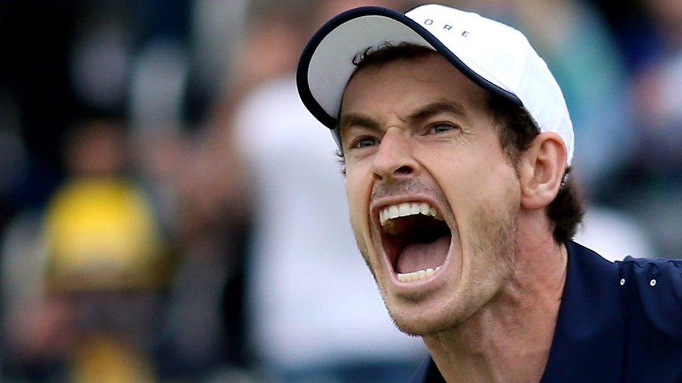 Andy Murray