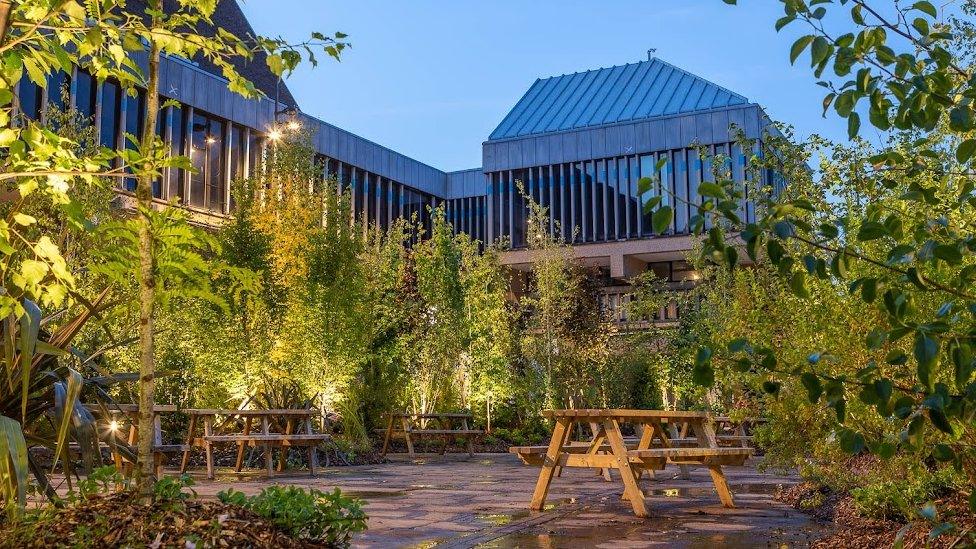 The urban forest in Derby city centre