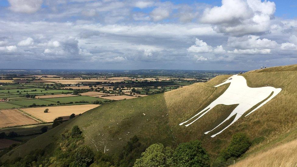 The White horse in Westbury, Wiltshire