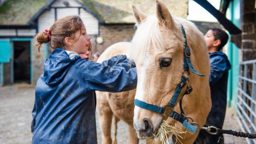 Children brush pony