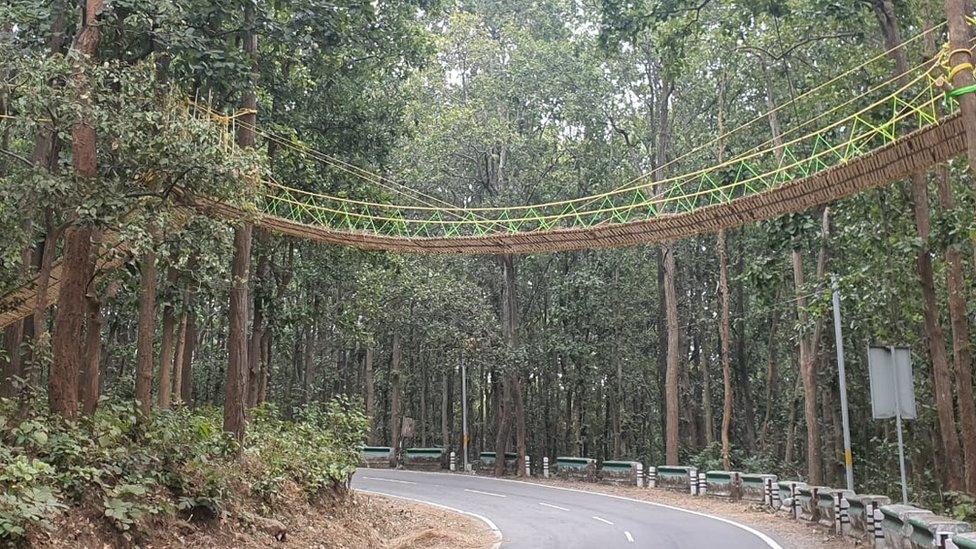 A bridge for animals across a highway