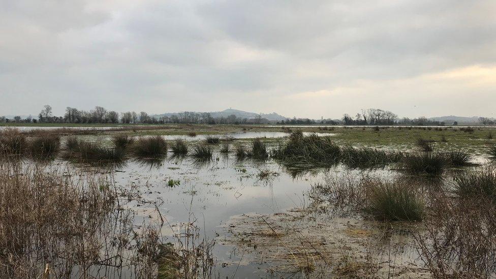 Somerset Levels