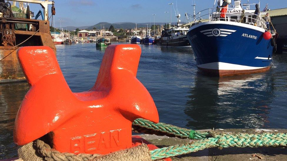 Fishing boats in Kilkeel