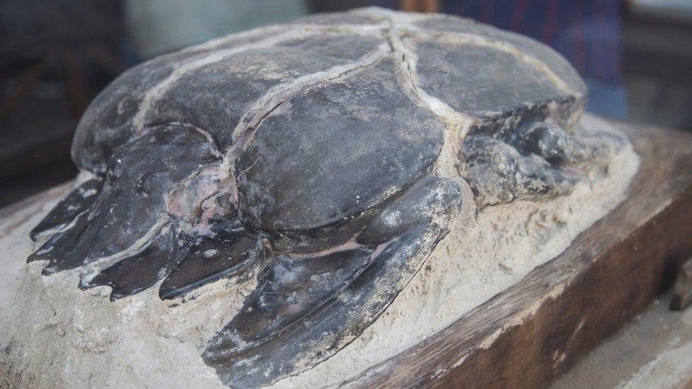 A scarab statue is displayed after it was excavated in Saqqara, south of Cairo, Egypt