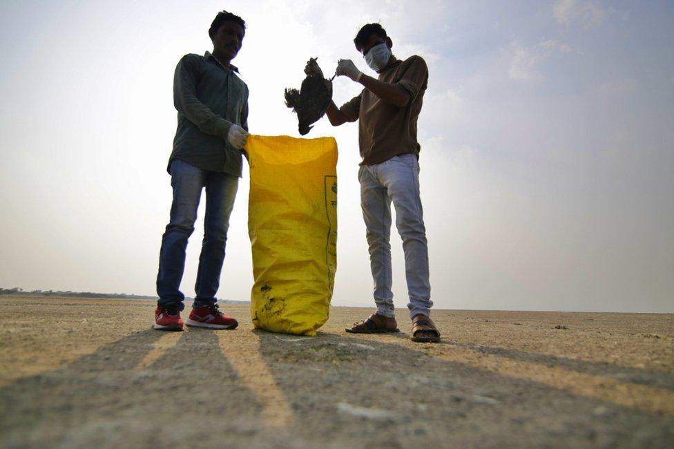 A man puts a bird into a yellow bag