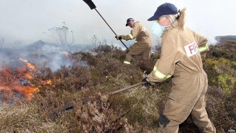 Firefighters attending a gorse fire