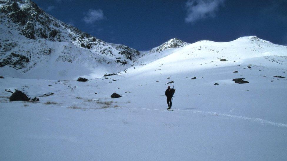 Foel Meirch