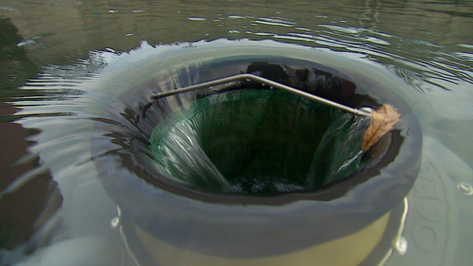 The equipment rises and falls with the tide, straining hundreds of litres of seawater