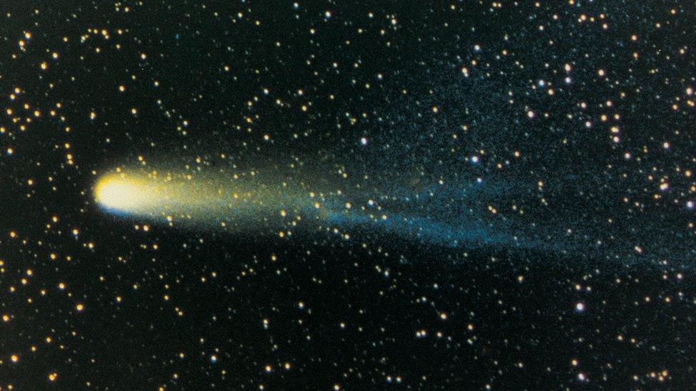 Halley's comet