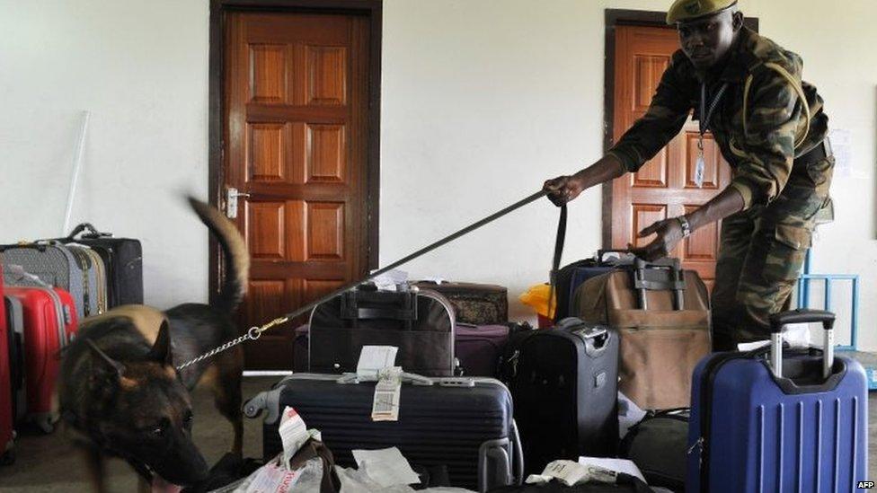 Dog trained to sniff luggage to find rhino horn and elephant ivory at the airport in Nairobi, Kenya 12/02/2016