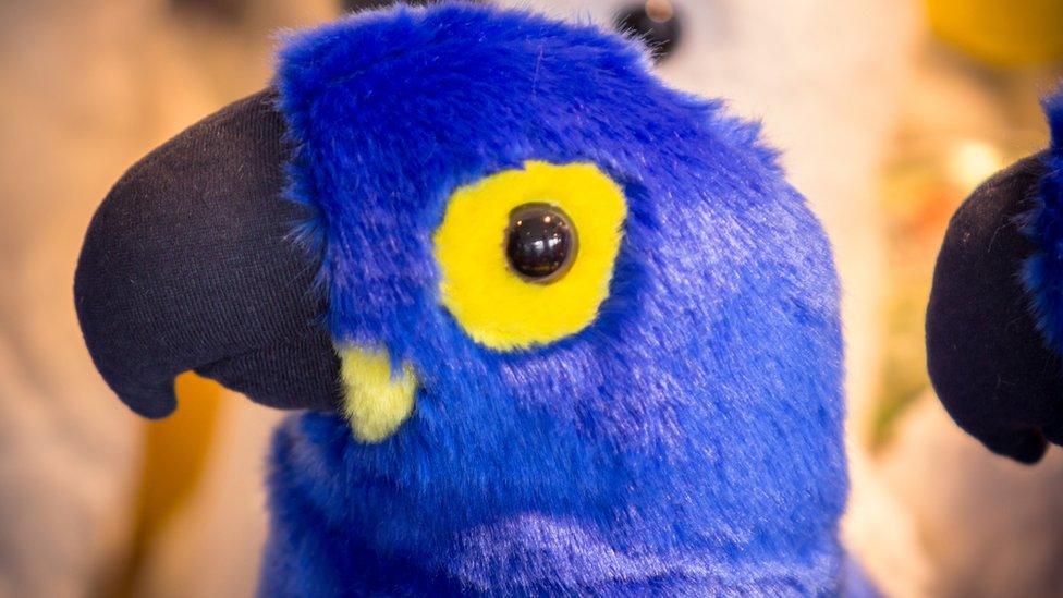 parrot puppet