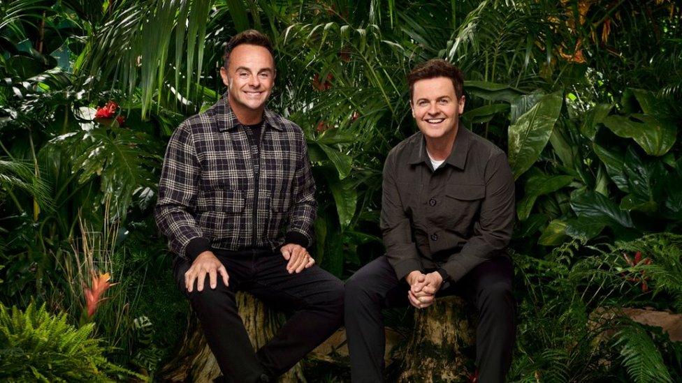 Ant and Dec in the TV jungle