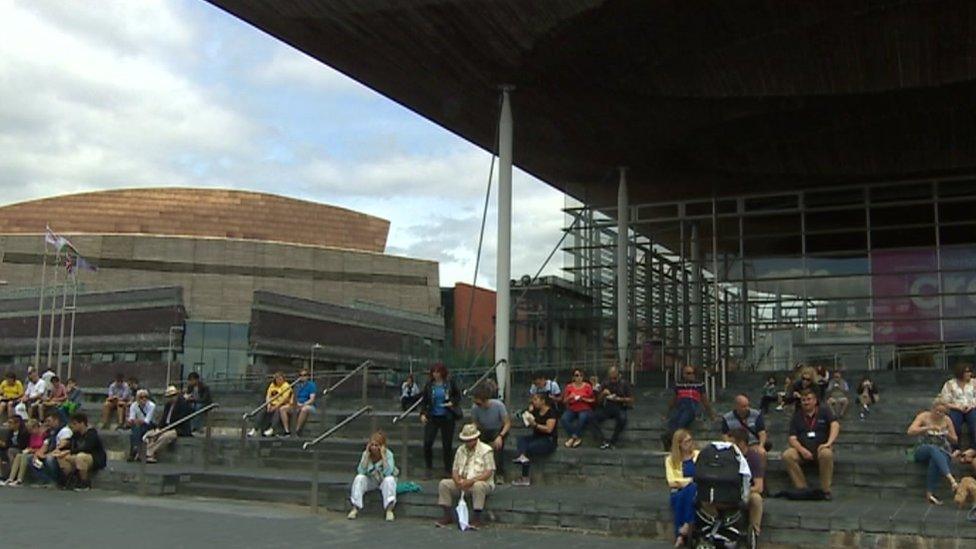 Y Senedd