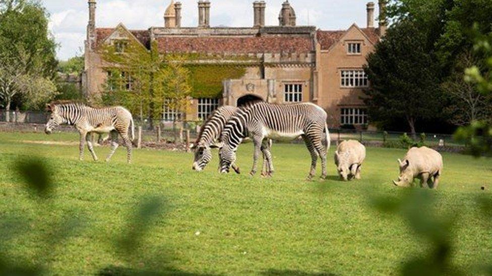 Marwell Zoo