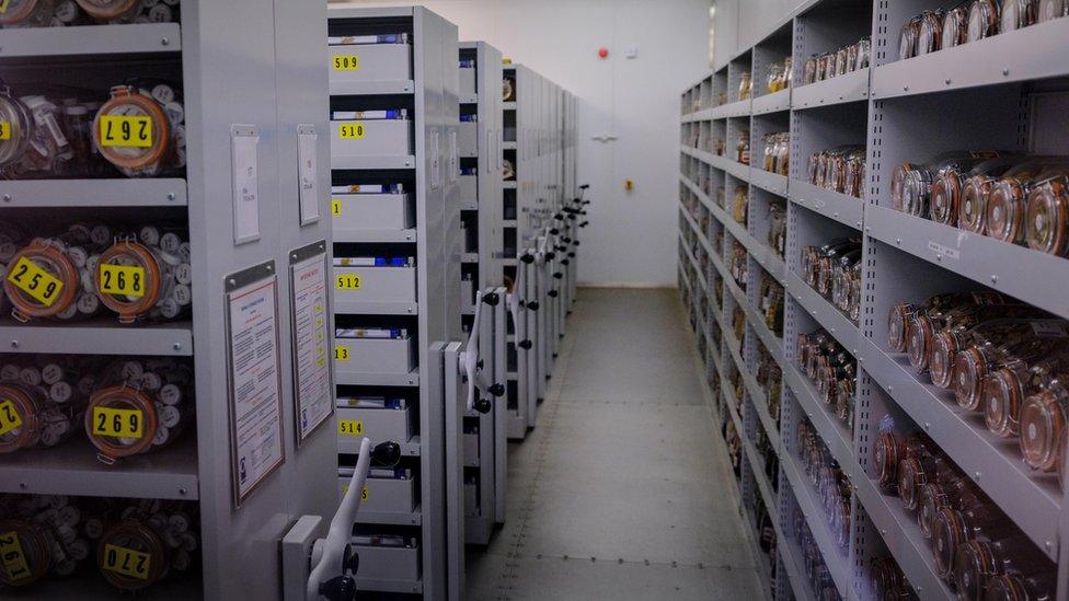 Rows and rows of seeds stored in jars