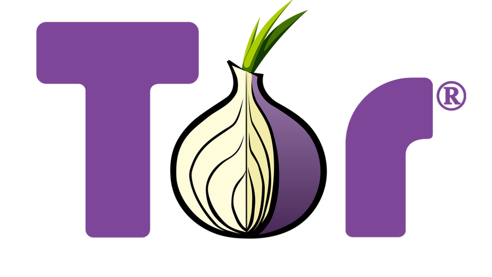 Tor Logo