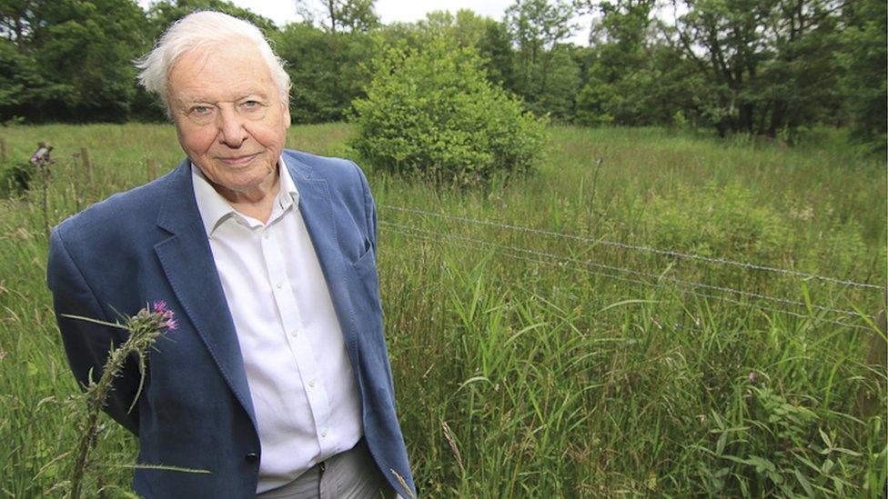 Sir David Attenborough