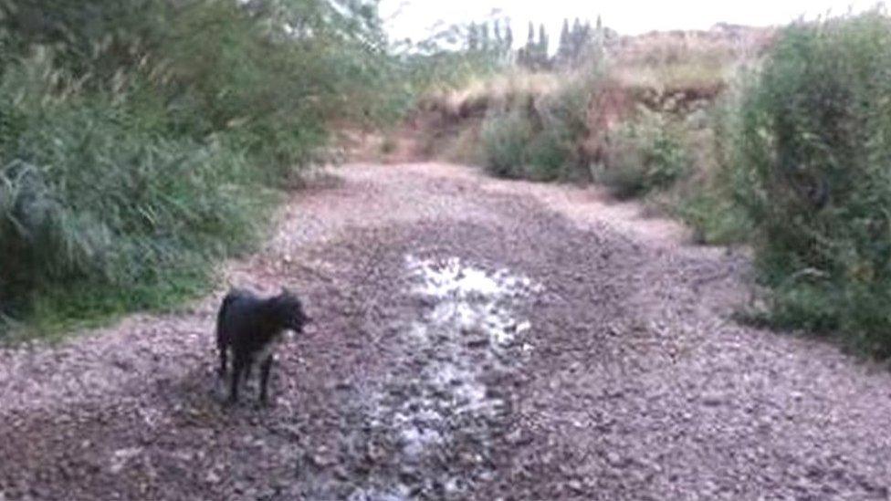 Environment Agency