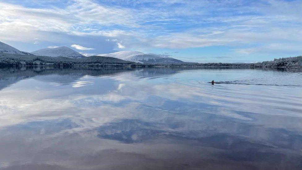 Nofio yn Loch Morlich yn yr Alban