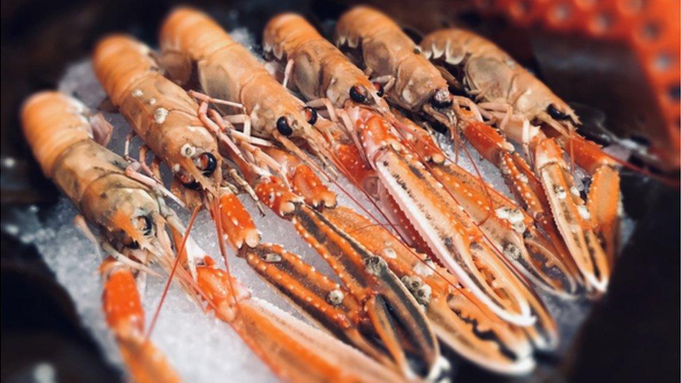 langoustines