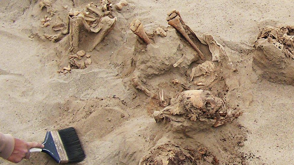 An archaeologist uses a brush in the sand between the exposed ribcages of the victims