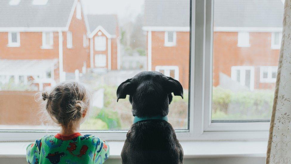 girl and dog looking out the window