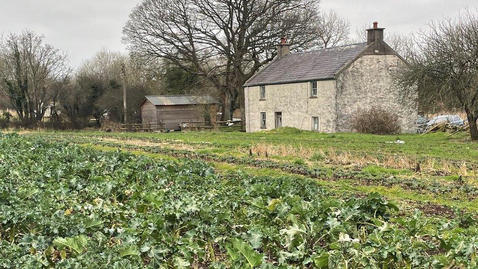 Tyddyn Teg is a 12 hectare site but only 3 hectares are cultivated, the rest is wetland left to nature.