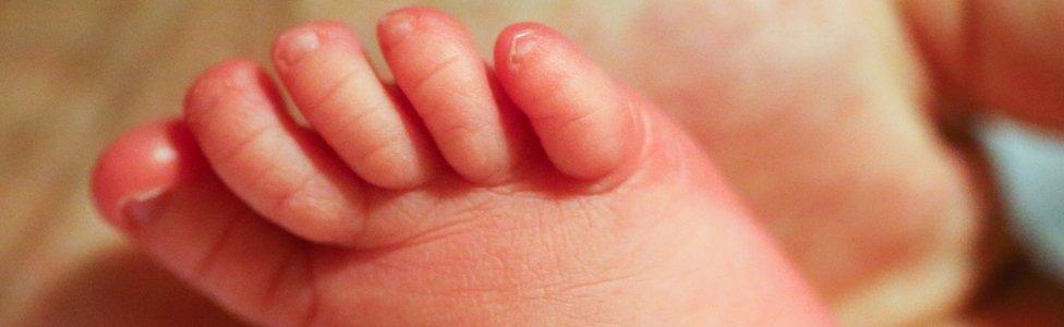 Baby's toes