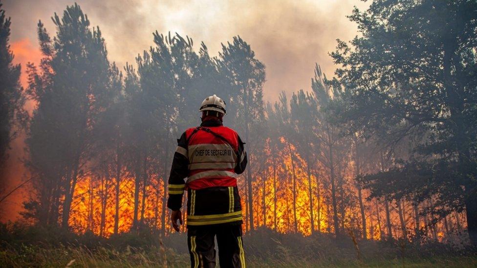 firefighter-facing-wildfires.