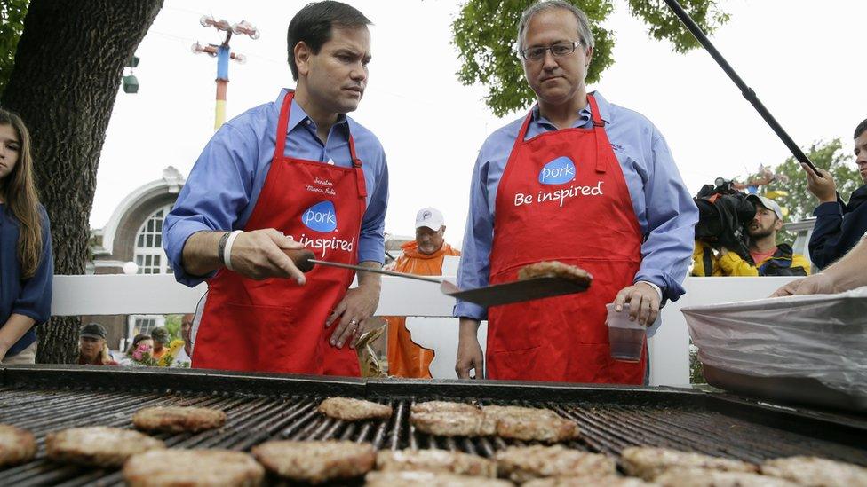 Marco Rubio grilling burgers