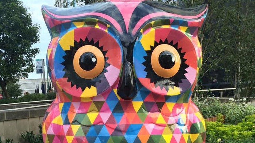 A colourful owl with a park in the background