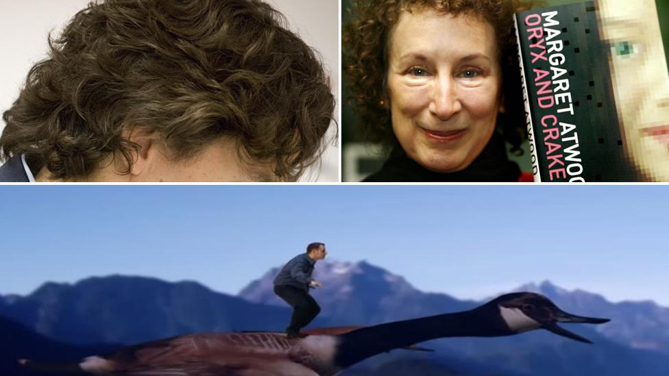 Composite image showing Justin Trudeau's hair, Margaret Atwood and an election candidate flying on a giant goose