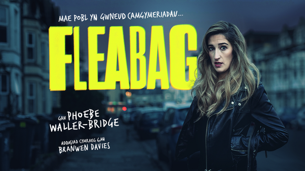 Theatr Clwyd poster for Welsh Fleabag