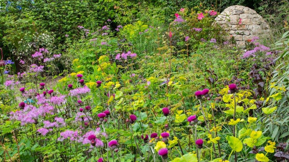 Horatio's Garden at the Chelsea Flower Show