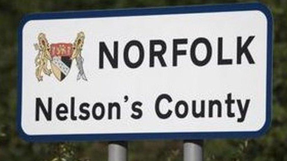 Nelson's County sign