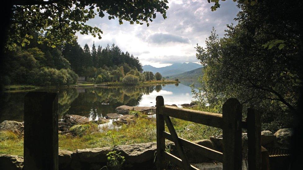 View over a lake