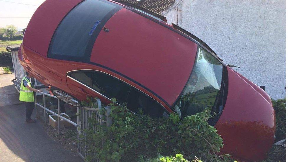 CAR IN HEDGE