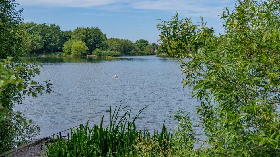 Brickfield Pond, Rhyl