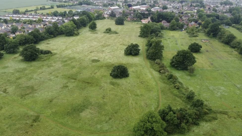 Wenny Road Meadow, Chatteris