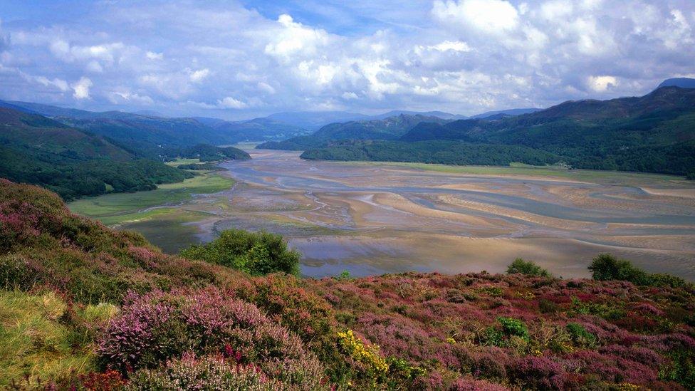 Mawddach Estuary, Snowdonia