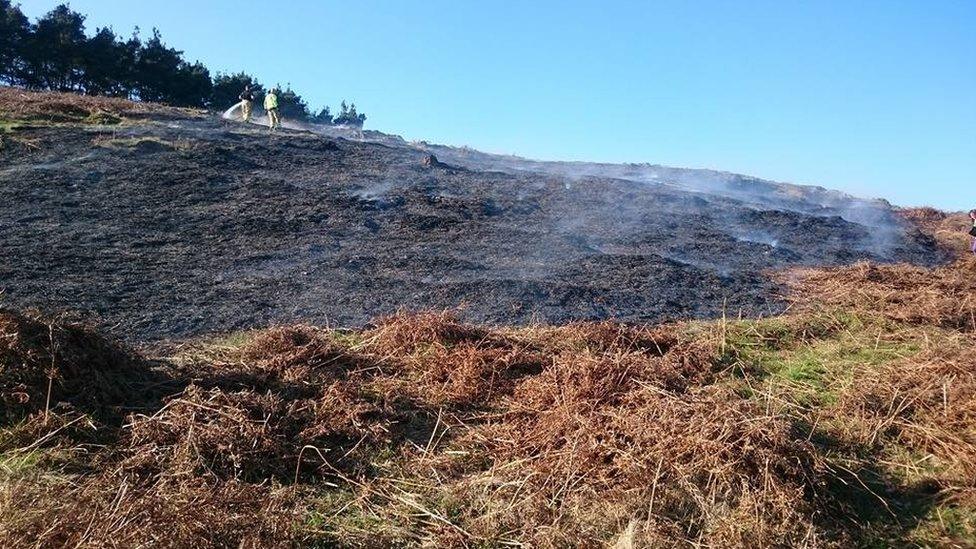 Aftermath of a fire at Bradgate Park